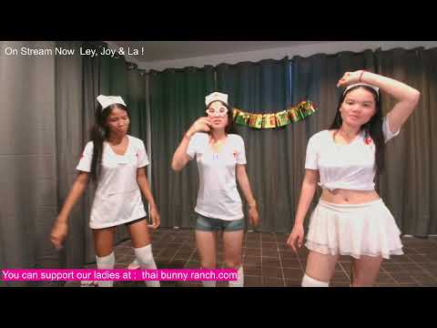 The Bunnies Live Stream 4 January 2025